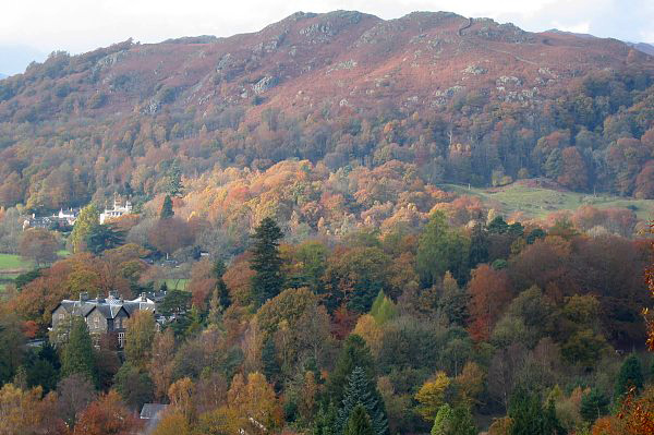View from the top of Loughrigg Fell.